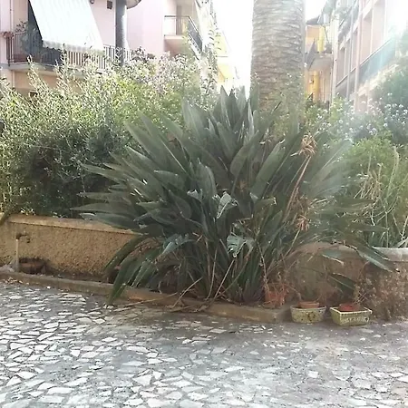 In *